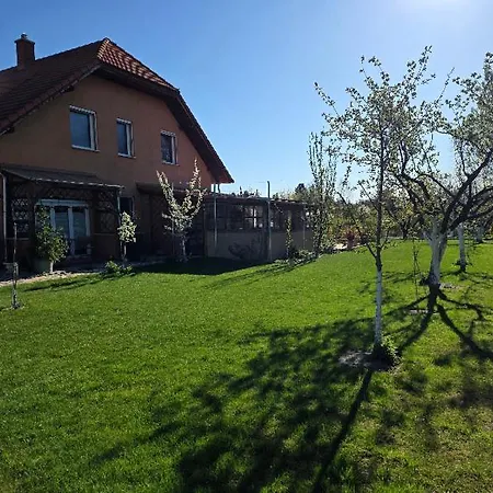 Susann Szigetmonostor